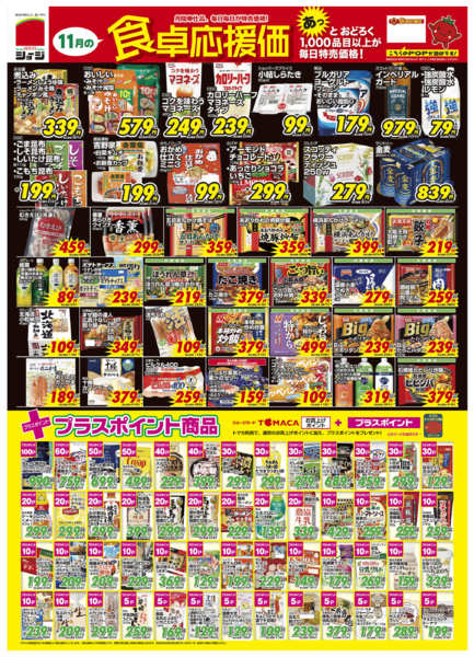 2025年11月1〜30日まで11月の月間奉仕品new-1