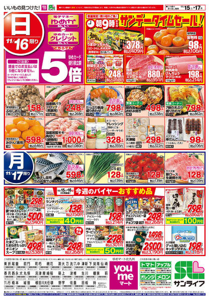 2025年11月15〜17日までサンデータイムセール!new-1