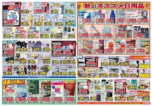 11月12日(水)～11月17日(月)-2