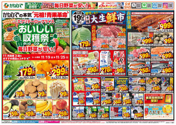 2025年11月19日限り青果EDLP＋水曜大生鮮市new-1