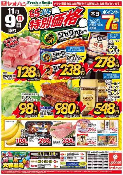 2025年11月8〜9日まで65周年特別価格-2