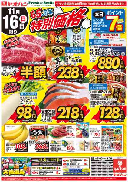 2025年11月15〜16日まで65周年特別価格new-2