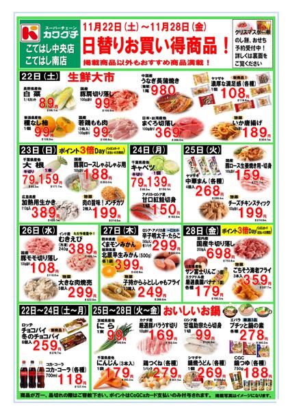 最新チラシnew-2