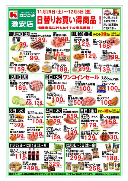 最新チラシnew-1