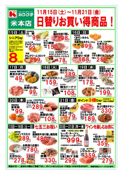 最新チラシnew-1