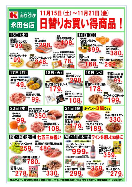 最新チラシnew-1