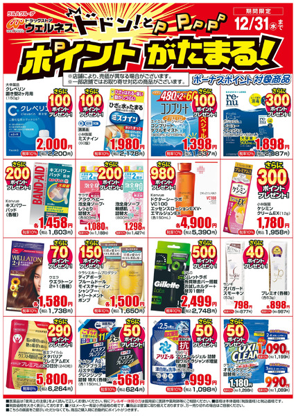 12/1~12/31 ウェルネスボーナスポイントチラシ12月1日～12月31日-1