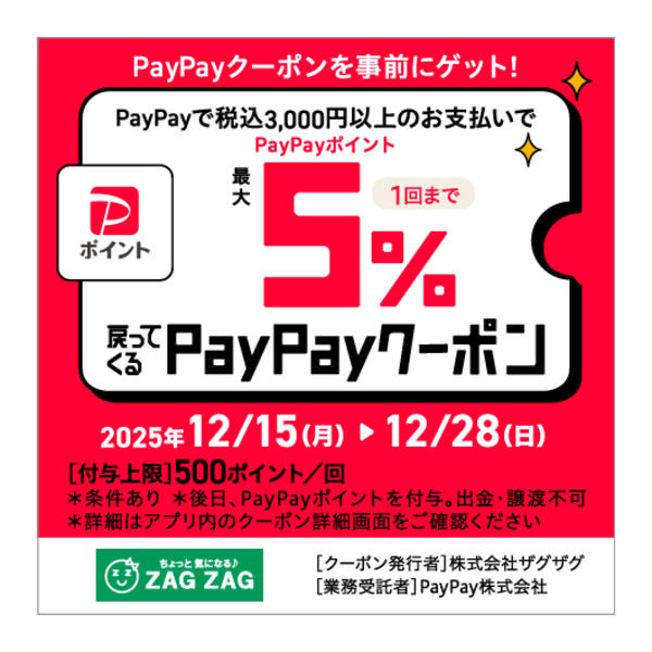 2025年12月16〜28日までPayPayクーポン実施中！new-1