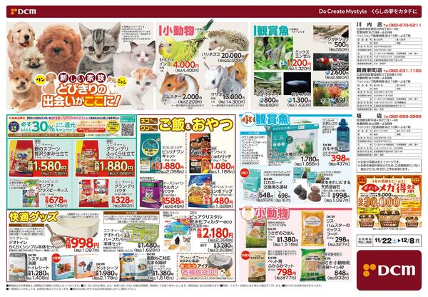 花の贈りもの Winter Flower Gift（11月22日～12月8日）-2