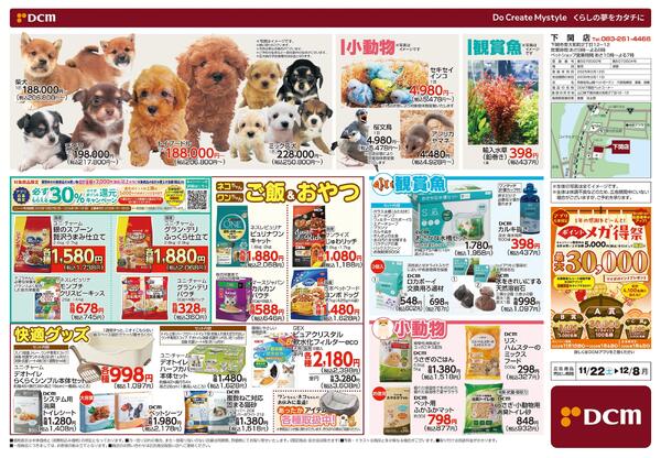 花の贈りもの Winter Flower Gift（11月22日～12月8日）-2