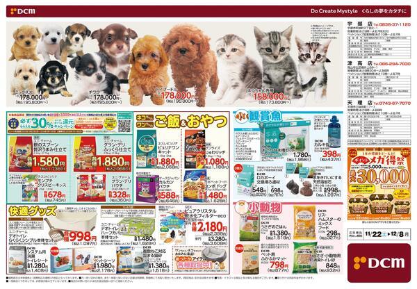 花の贈りもの Winter Flower Gift（11月22日～12月8日）-2