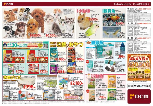 花の贈りもの Winter Flower Gift（11月22日～12月8日）-2