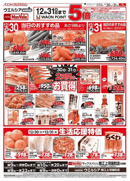 2025年12月30〜31日まで2日間のお買得！new-1
