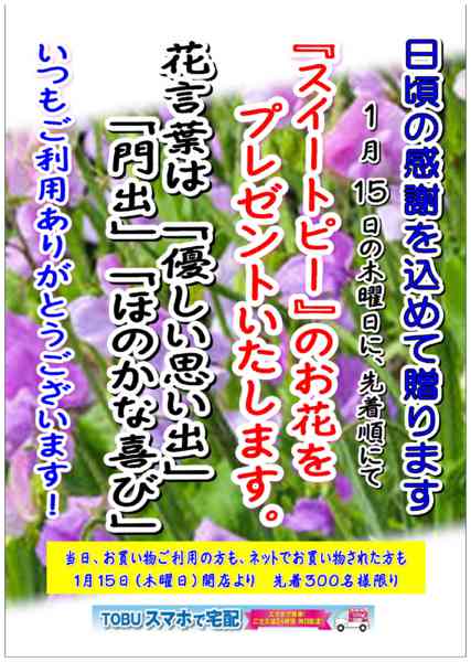 2025年12月24日〜2026年1月14日まで日頃の感謝の気持ちをこめてお花を贈ります-1