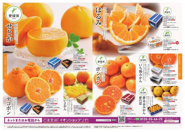 イオンショップ 旬の味覚便new-4