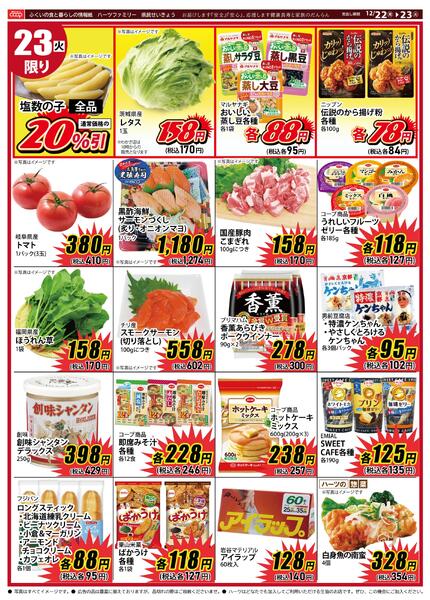 最新チラシnew-1