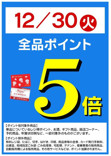 12/30(火)はポイント５倍！new-1