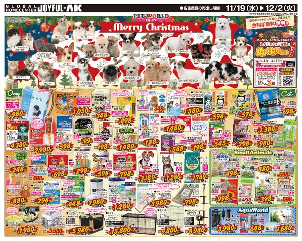 11月19日～12月2日new-2