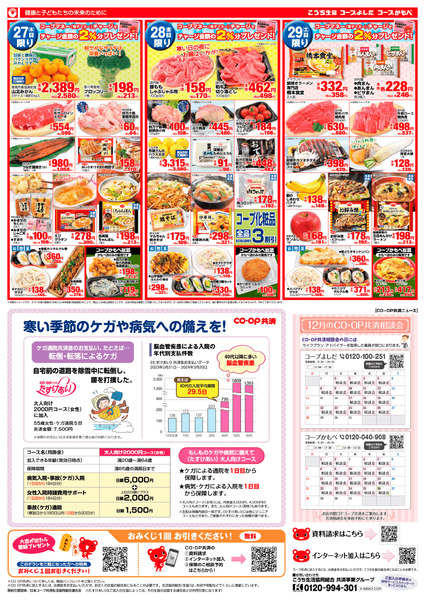 お店チラシ｢11月の特別チラシ｣(27日～29日)-2