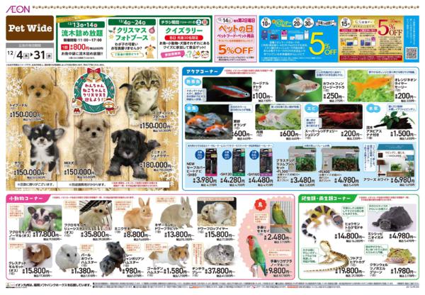 １２月４日（木）～１２月３１日（水）-1