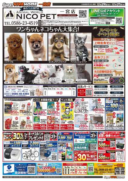 スーパービバホーム-2