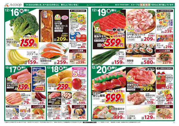 最新チラシnew-2