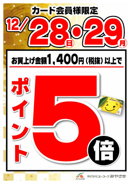 2025年12月25〜29日まで年末特別ポイント5倍new-1
