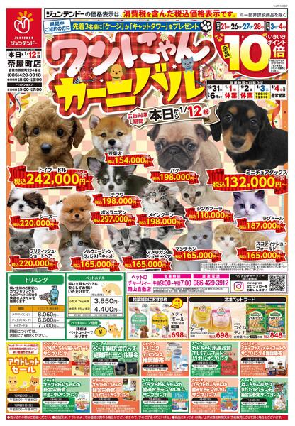 ワンにゃんカーニバル-1