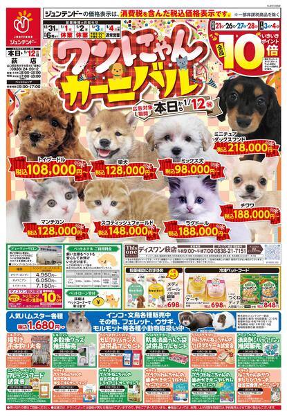 ワンにゃんカーニバル-1