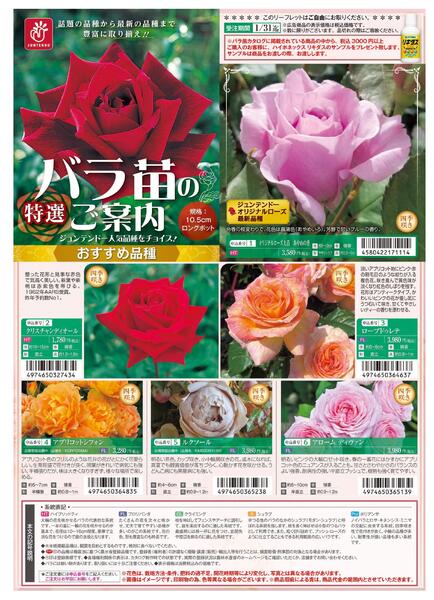 特選バラ苗のご案内new-1