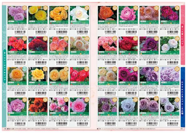 特選バラ苗のご案内new-2