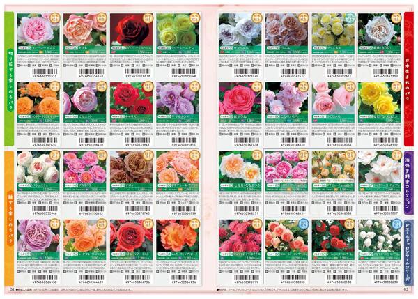 特選バラ苗のご案内-3