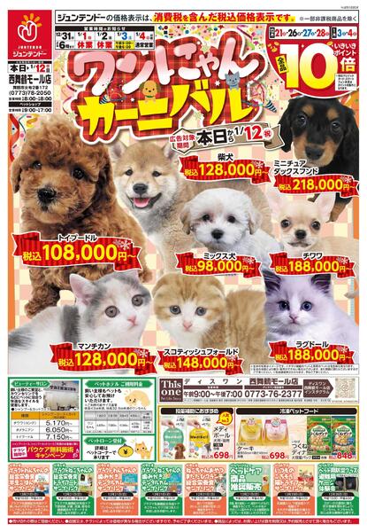 ワンにゃんカーニバル-1