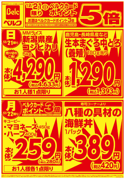 12/21号ほぼ全店黄ザラチラシnew-2