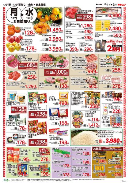 最新チラシnew-2