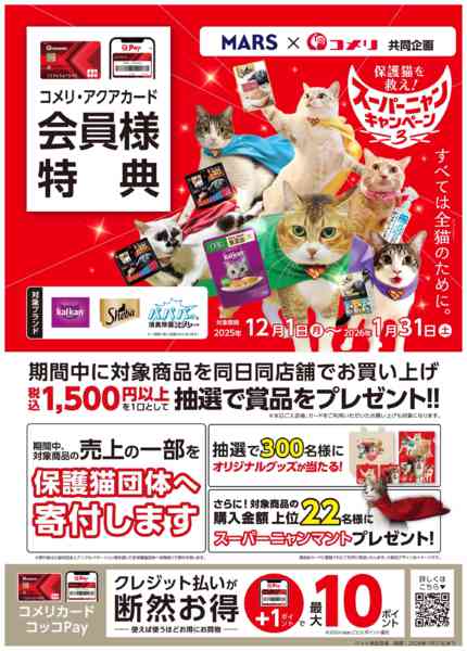 2025年12月1日〜2026年1月31日までスーパーニャン キャンペーンnew-1