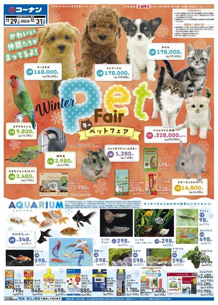 11月29日～12月31日　冬のペットフェア-1