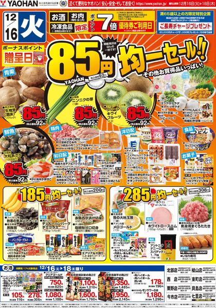 最新チラシnew-1