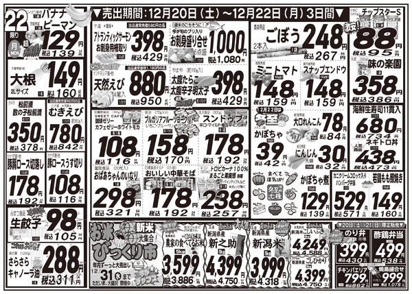 最新チラシnew-2