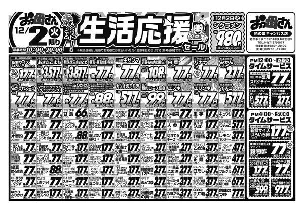 レギュラーチラシ-1