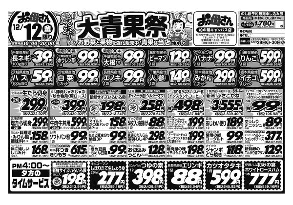 レギュラーチラシ-1