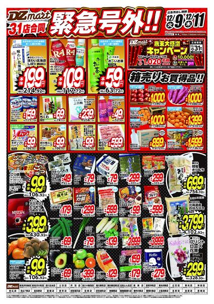 最新チラシnew-1