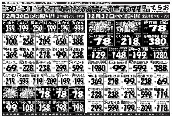 最新チラシnew-1