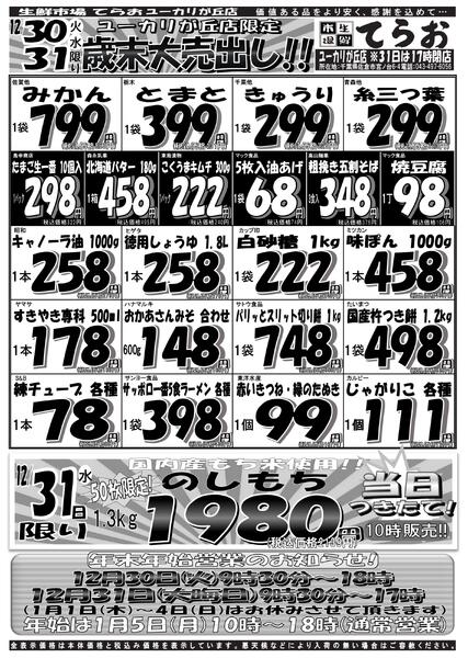 最新チラシnew-2