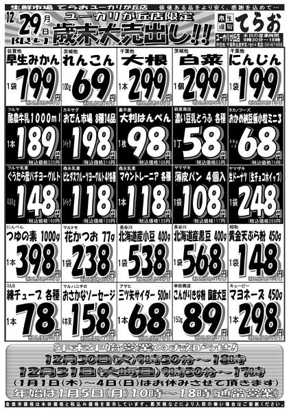 最新チラシnew-1