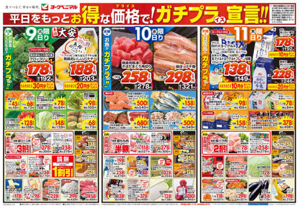 2025年12月9〜11日まで12/9号チラシ-1