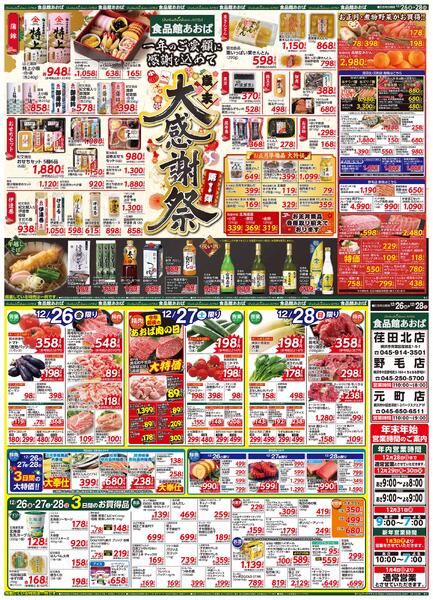 レギュラーチラシ-1