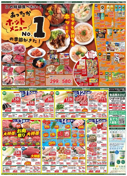 レギュラーチラシ-1