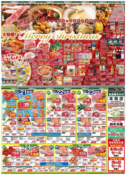 レギュラーチラシ-1