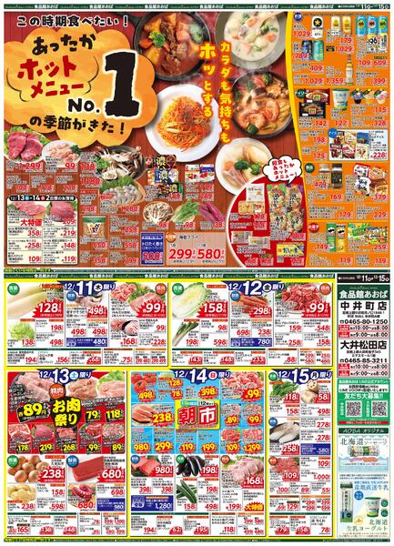 レギュラーチラシ-1